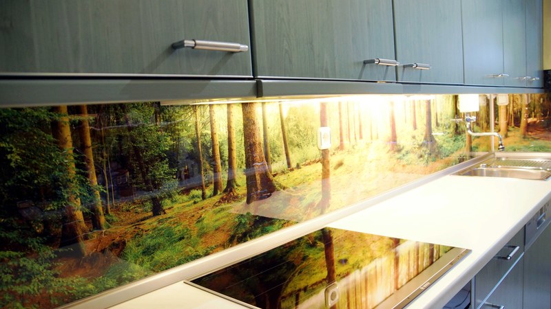 Küchenrückwand selbstklebend - Sonnenstrahlen im Wald