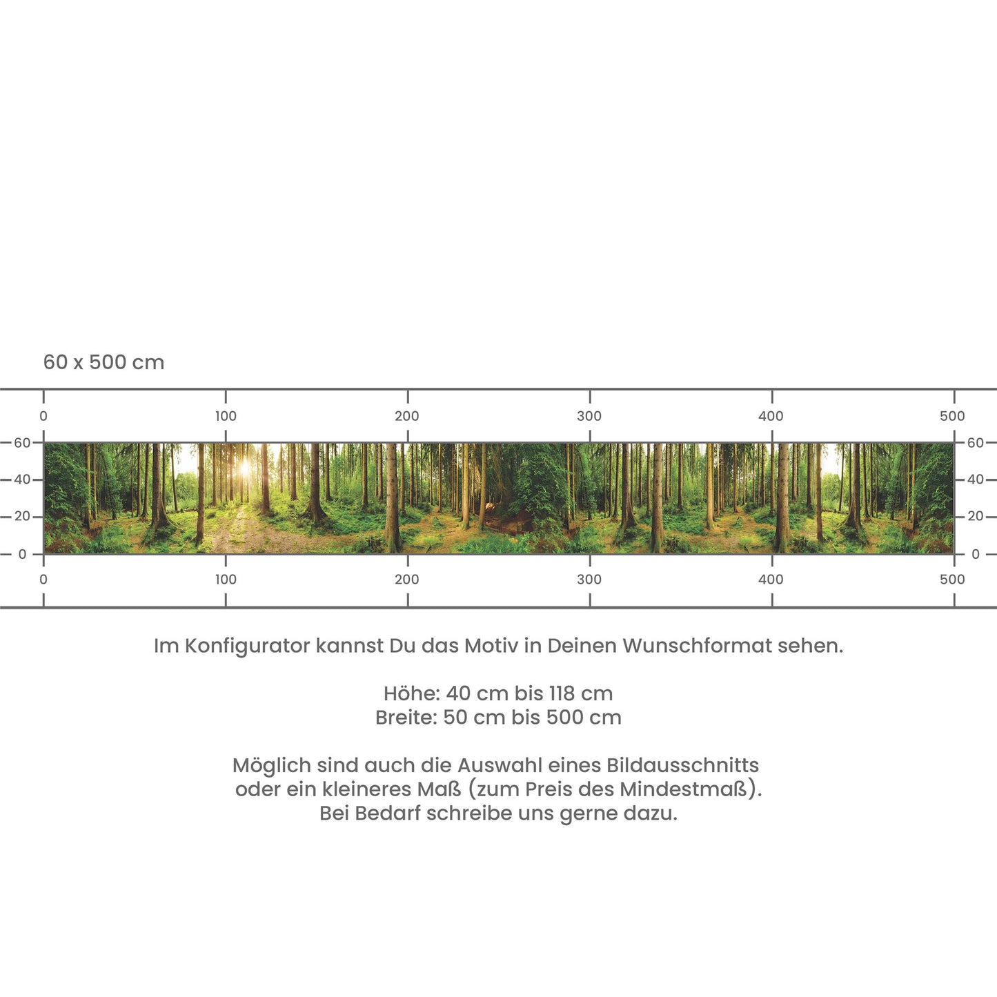 Küchenrückwand selbstklebend - Sonnenstrahlen im Wald