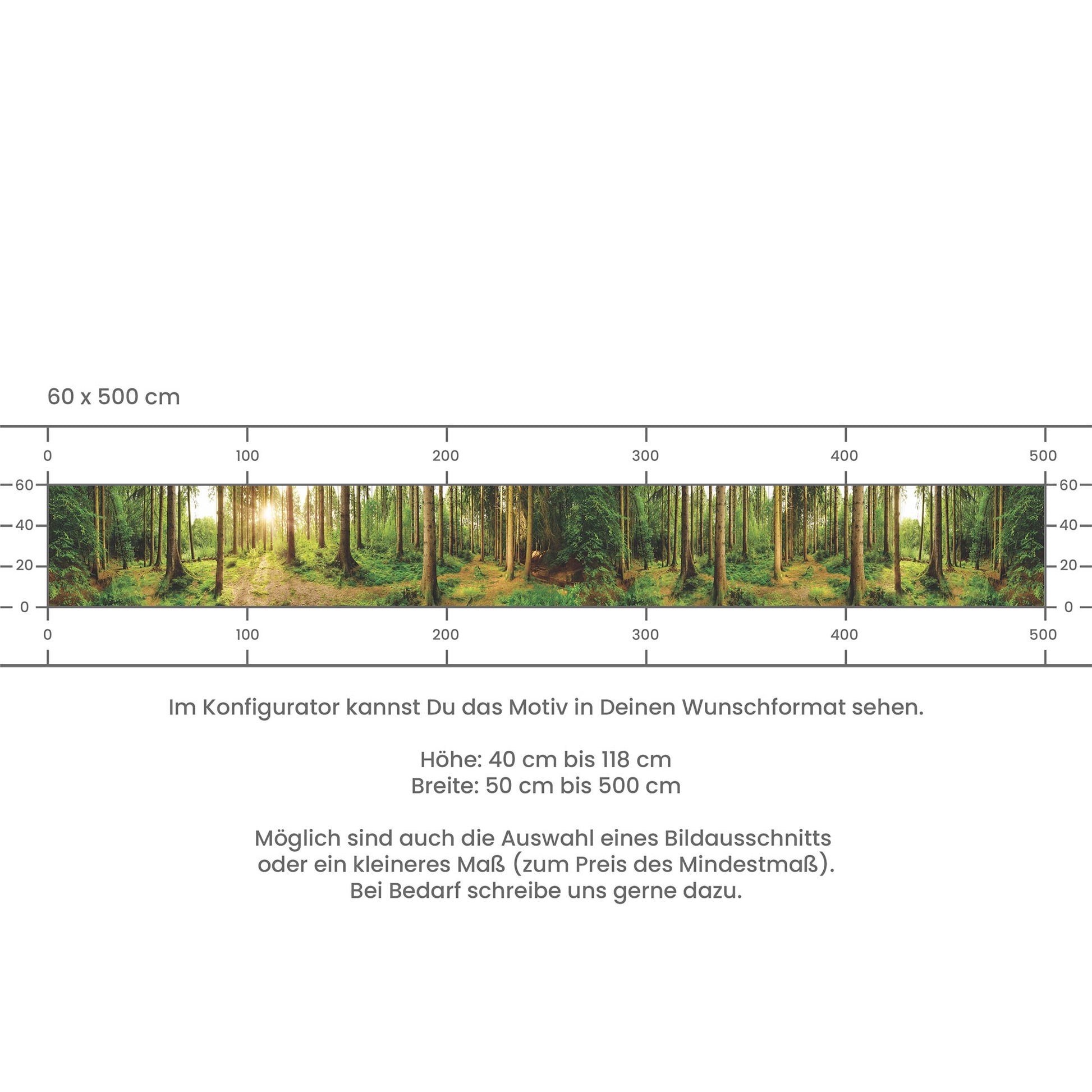 Küchenrückwand selbstklebend - Sonnenstrahlen im Wald
