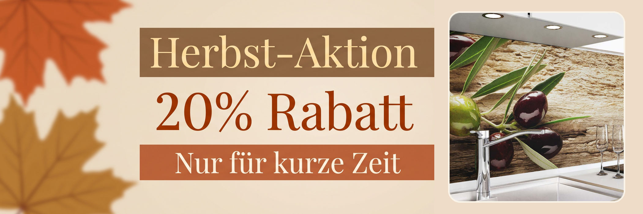 danario Herbst-Aktion Banner